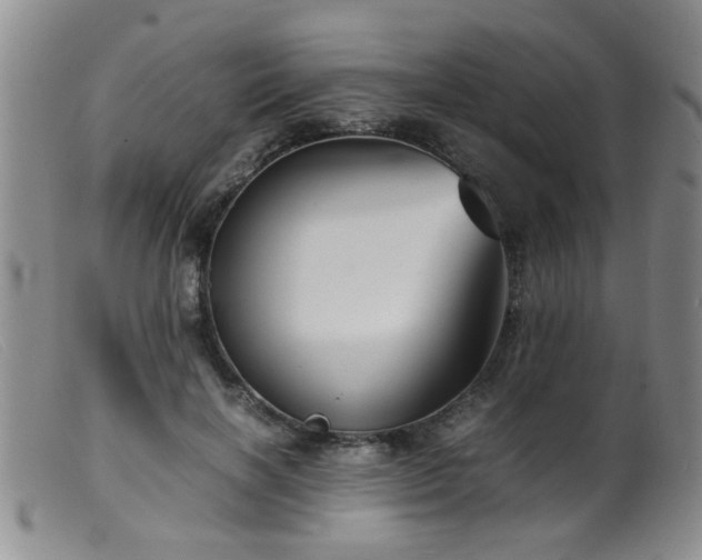 X0000099460646200805161048