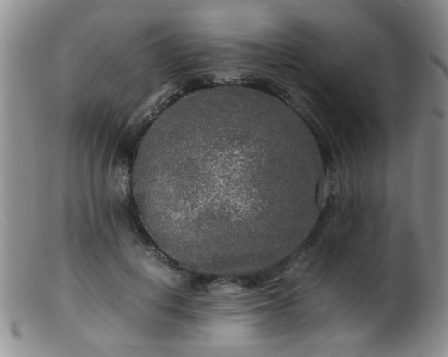 X0000099460648200805161048