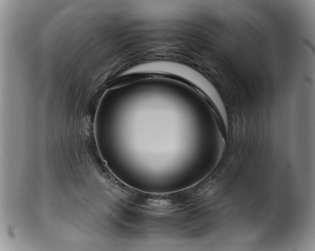 X0000099460649200805161048