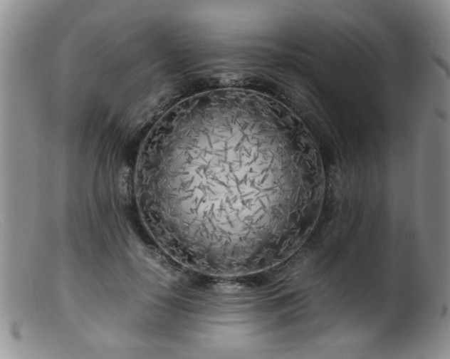 X0000099460650200805161048