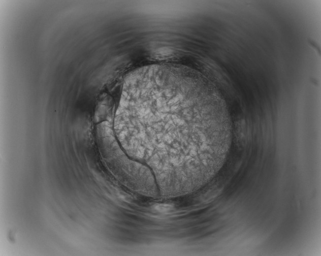 X0000099460653200805161048