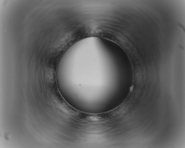 X0000099460654200805161048