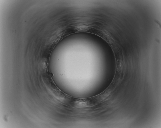 X0000099460655200805161048