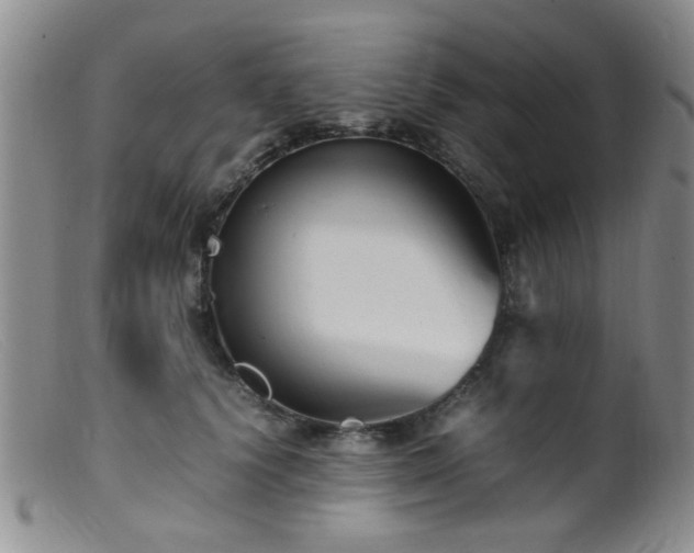 X0000099460656200805161048