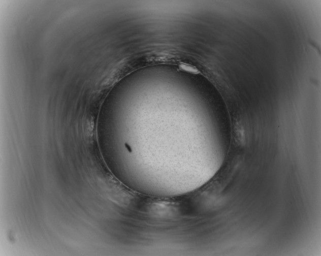 X0000099460657200805161048