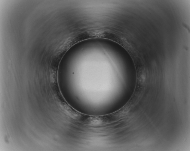 X0000099460658200805161048