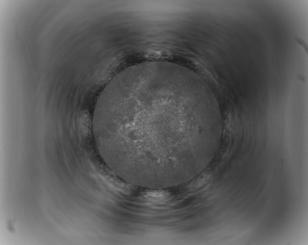 X0000099460659200805161048