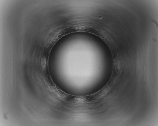 X0000099460660200805161048