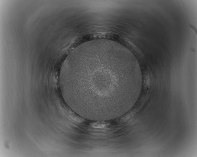 X0000099460661200805161048