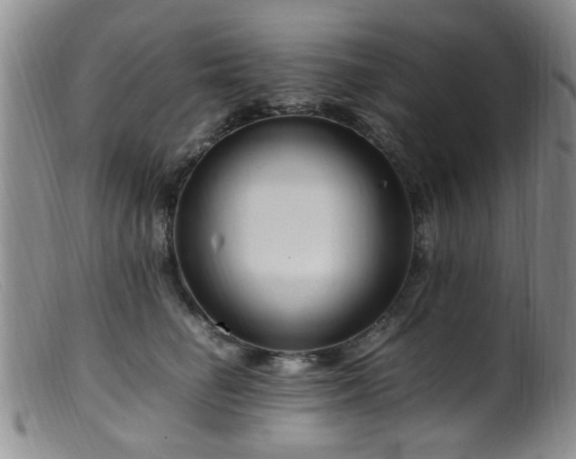 X0000099460662200805161048