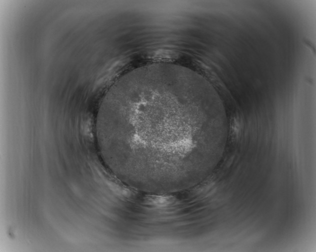 X0000099460663200805161048