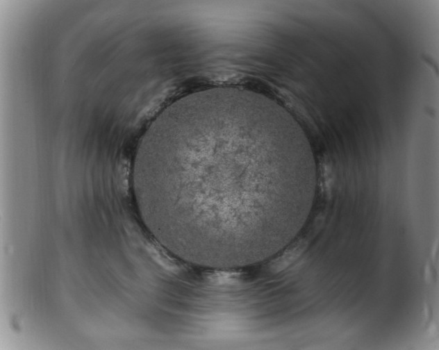 X0000099460664200805161048