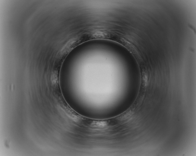 X0000099460665200805161048