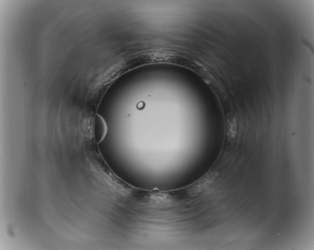 X0000099460666200805161048