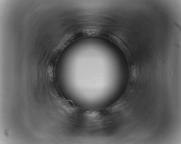 X0000099460667200805161048