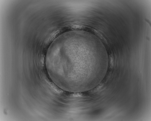 X0000099460668200805161048