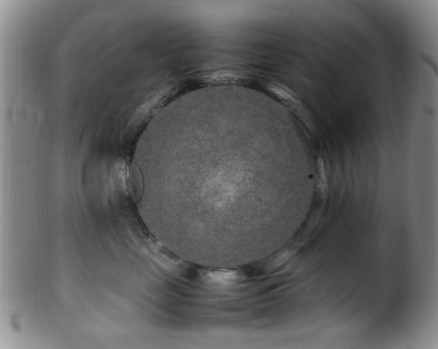 X0000099460669200805161048