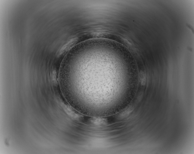 X0000099460670200805161048