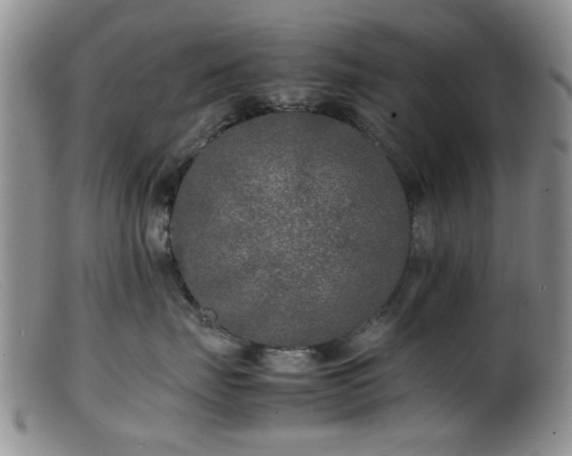 X0000099460671200805161048