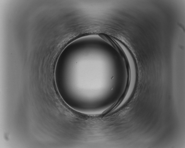 X0000099460673200805161047