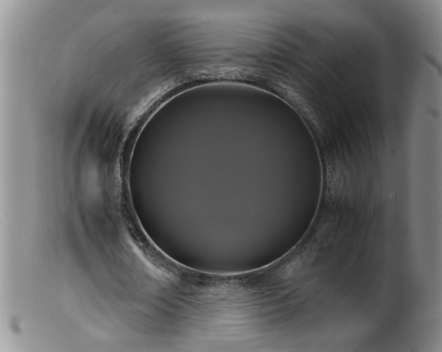 X0000099460674200805161047