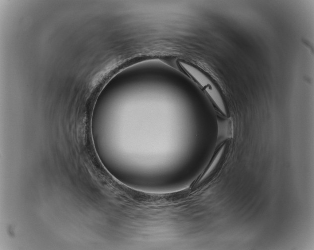 X0000099460675200805161047