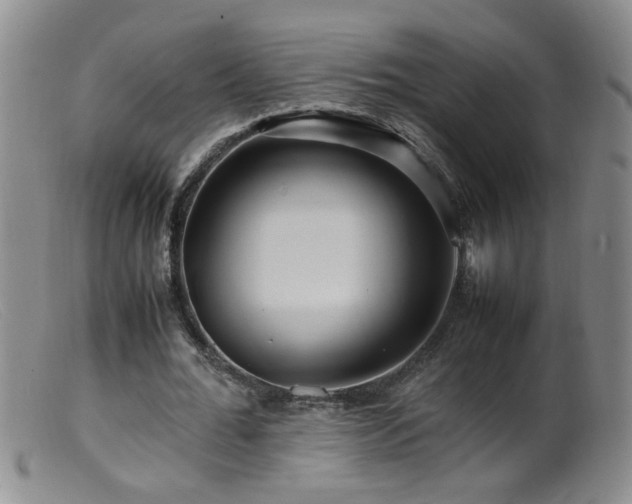 X0000099460676200805161047