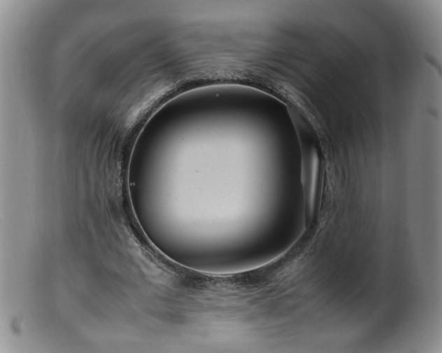 X0000099460677200805161047