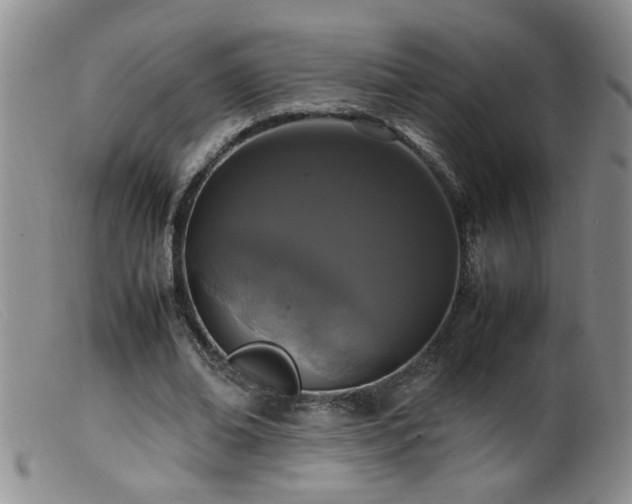 X0000099460678200805161047