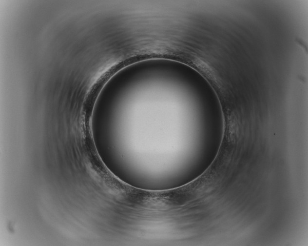 X0000099460680200805161047