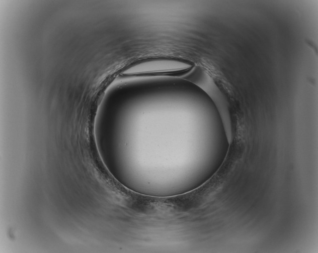 X0000099460681200805161047