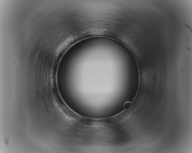 X0000099460682200805161047