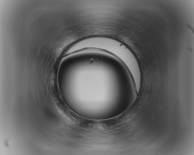 X0000099460683200805161047