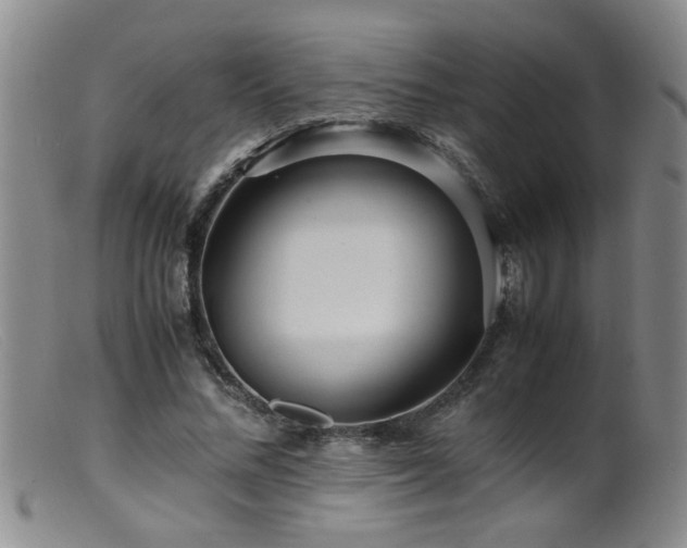 X0000099460684200805161047