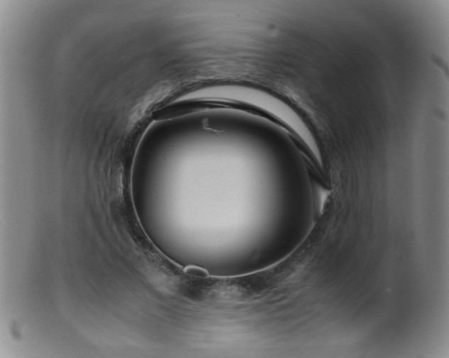 X0000099460685200805161047