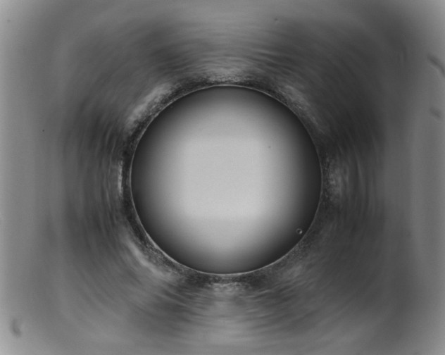 X0000099460686200805161047