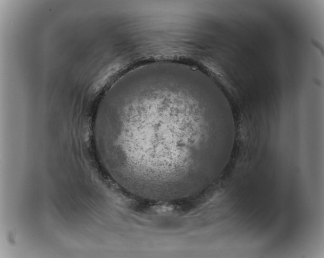 X0000099460687200805161047