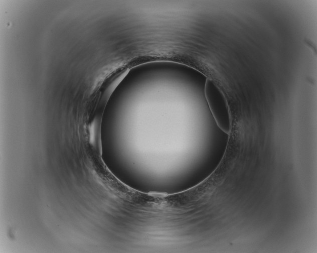 X0000099460688200805161047