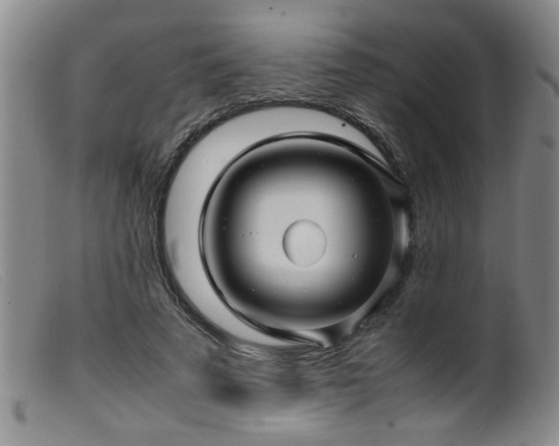 X0000099460689200805161047