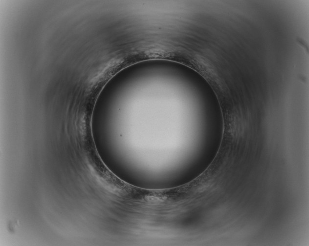 X0000099460690200805161047