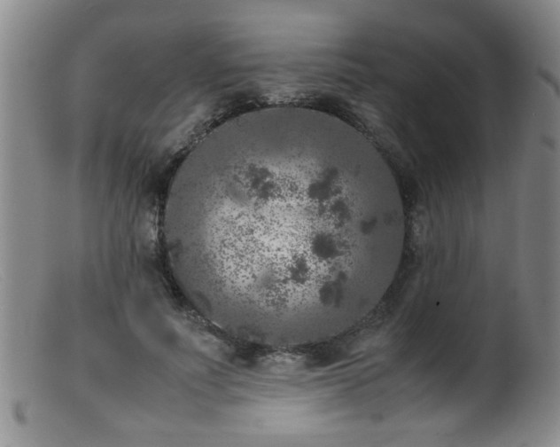 X0000099460691200805161047