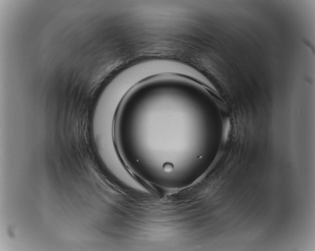 X0000099460692200805161047