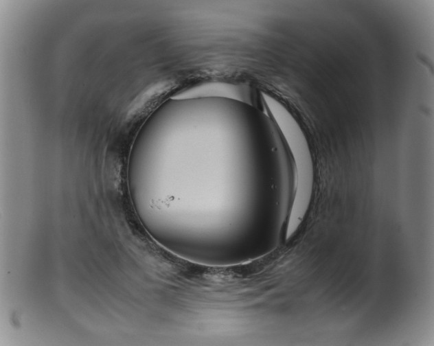 X0000099460693200805161047