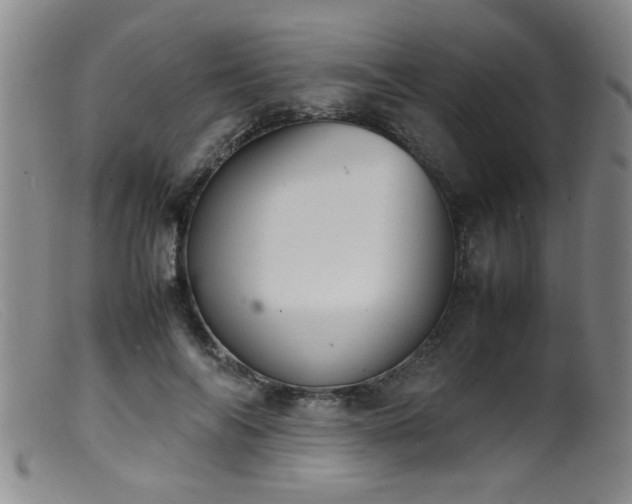 X0000099460694200805161047