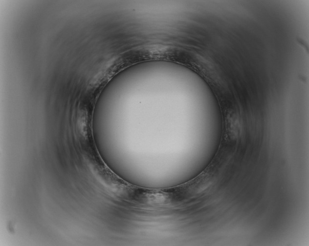 X0000099460698200805161047