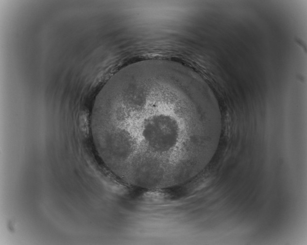 X0000099460699200805161047