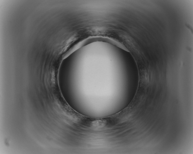 X0000099460700200805161047