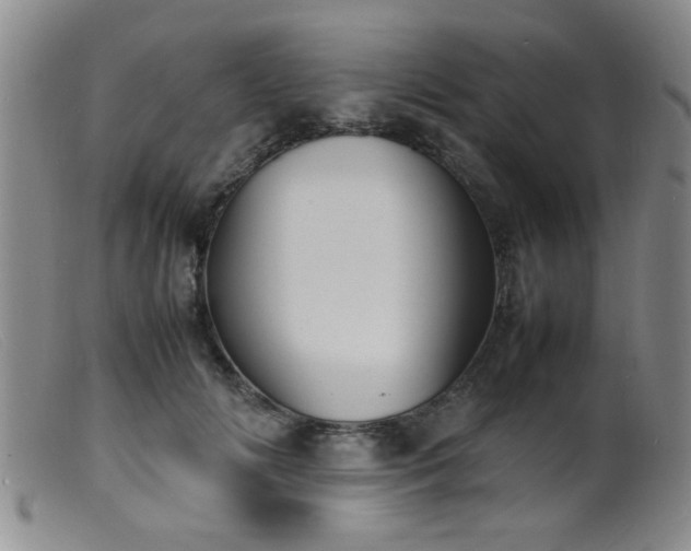 X0000099460702200805161047