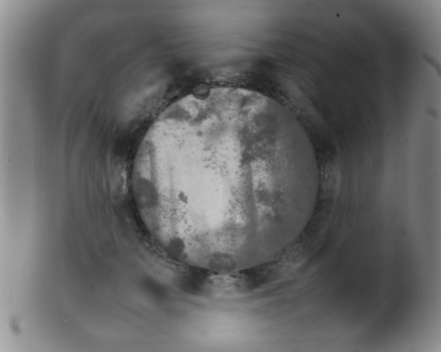 X0000099460703200805161047