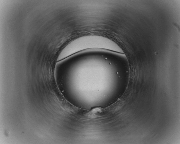 X0000099460704200805161047